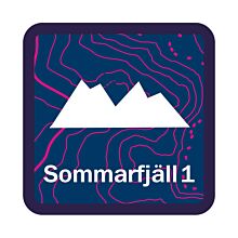 Utbildningsmärke Sommarfjäll 1