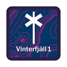 Utbildningsmärke Vinterfjäll 1