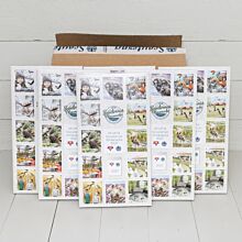 KFUM & Scouternas Almanacka 2027 15-pack