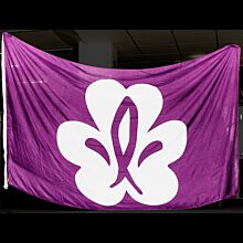 Equmenia flagga 240x150 cm
