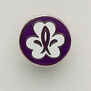 Equmenia Scout pin